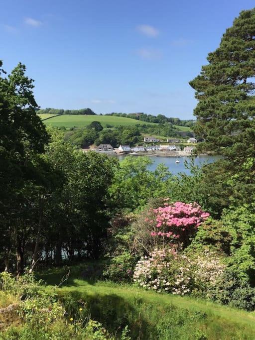 Tamar Valley, Cornwall Callington المظهر الخارجي الصورة