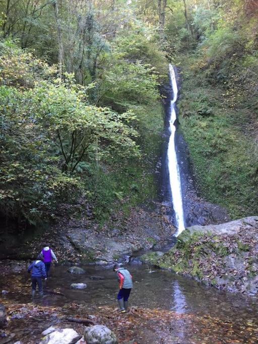 Tamar Valley, Cornwall Callington المظهر الخارجي الصورة
