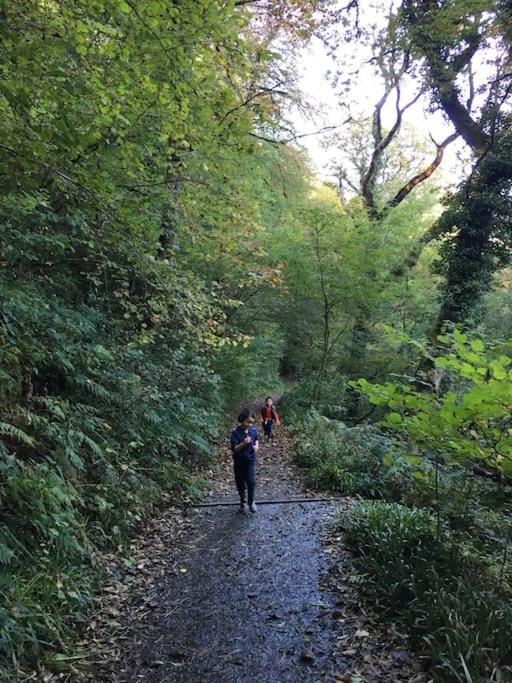 Tamar Valley, Cornwall Callington المظهر الخارجي الصورة